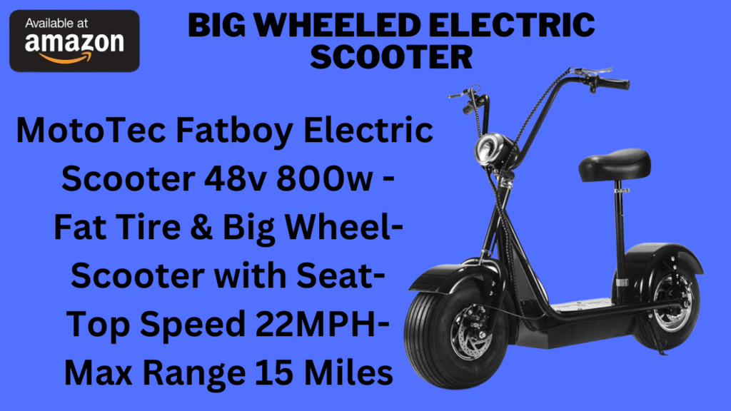 Big Wheeled Electric Scooter